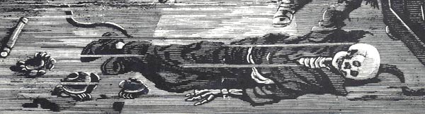 Skeleton Body Skeleton Body